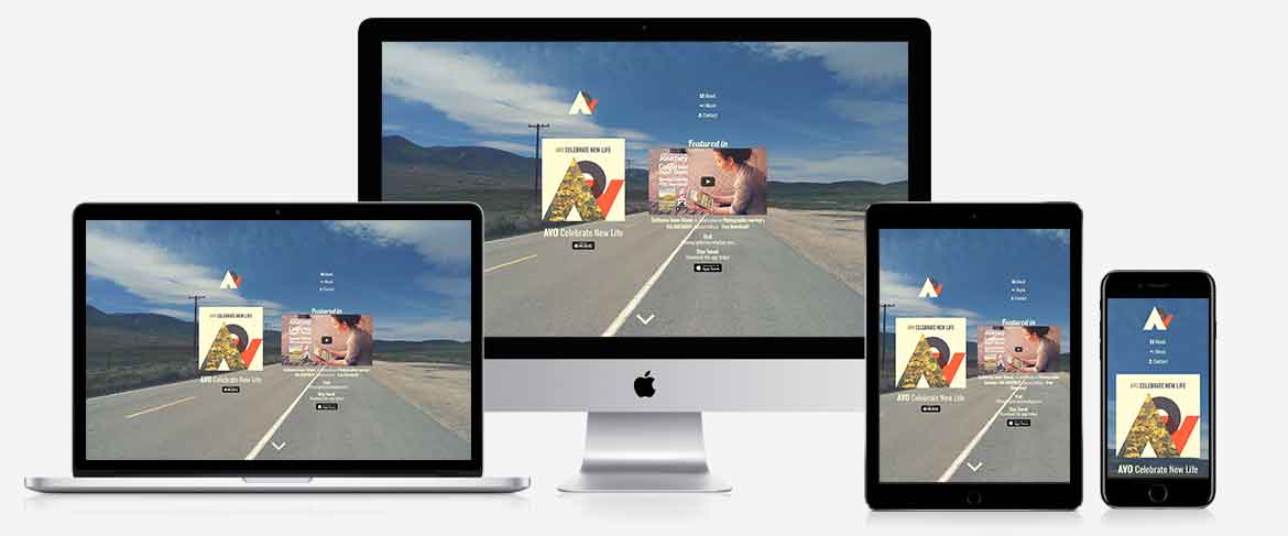 GoAvo responsive website design by EzTen